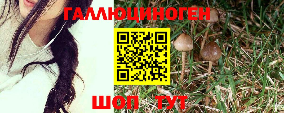 Кисловодск  купить наркоту  Вход с VPN  Псилоцибиновые грибы мухоморы 